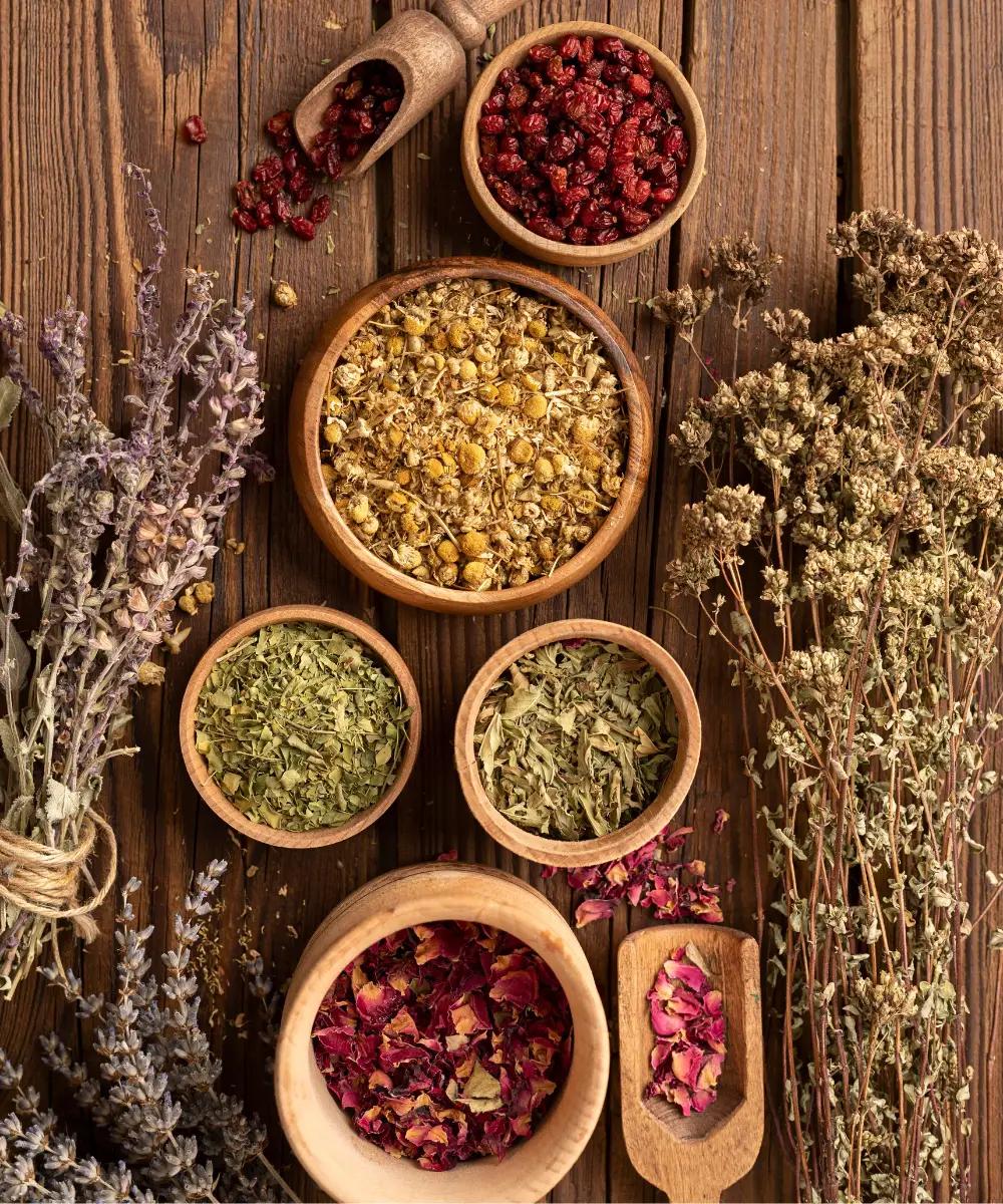 Contact Shabbir Traders