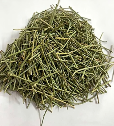 EPHEDRA GERARDIANA